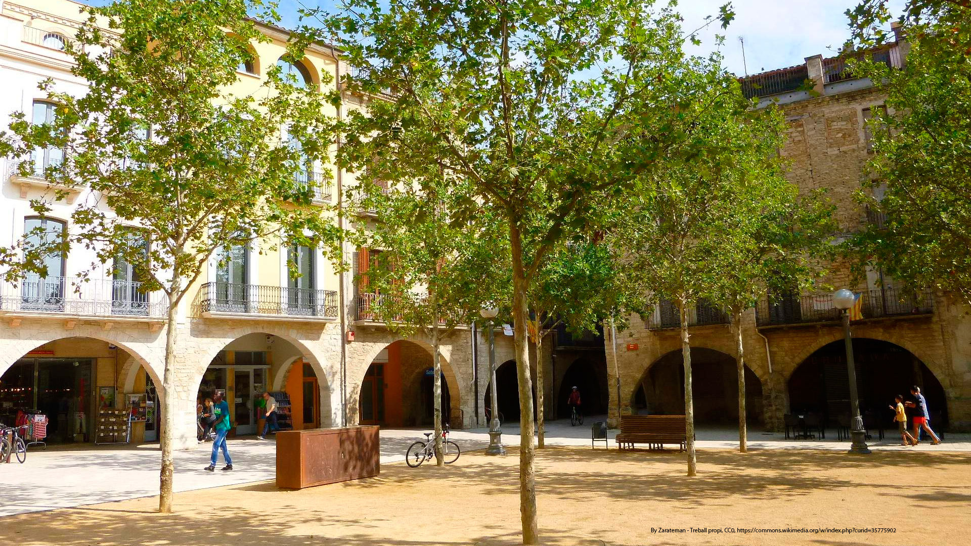 Vaciado de pisos Banyoles y Pla de l'Estany Vaciado de pisos y locales en Banyoles